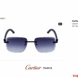 Side view of Cartier unisex sunglasses