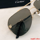 Close-up detail view of Cartier unisex sunglasses