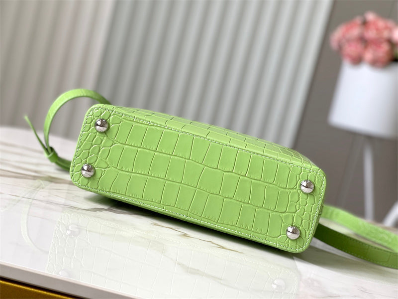  everyday bag interior and compartment view