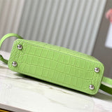  everyday bag interior and compartment view