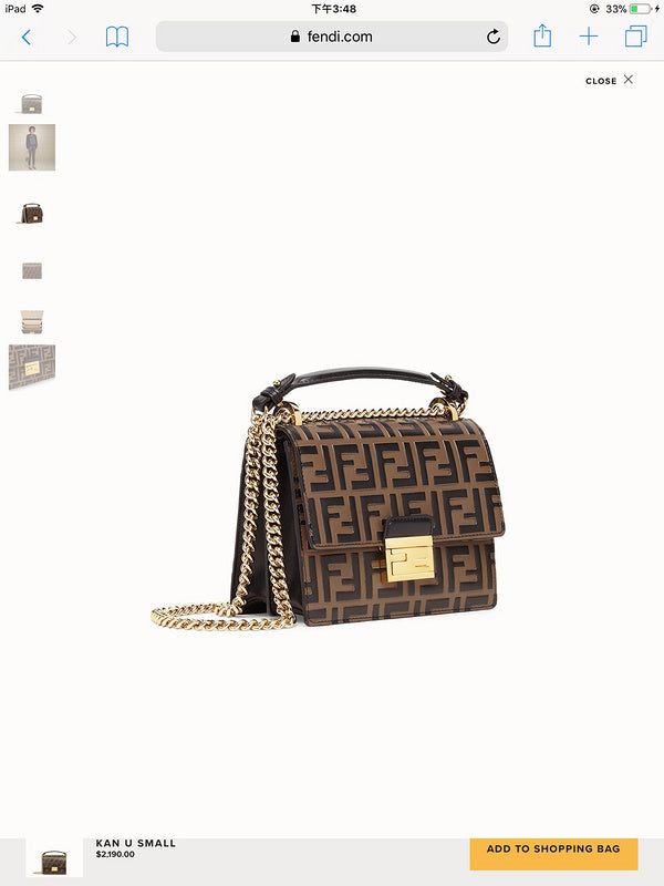 Ziva's Charm handbag – product shot (Standard Size)