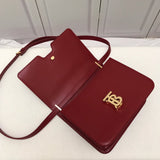 Ziva's Charm handbag – carry view (one versatile size)