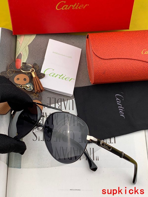 Side view of Cartier unisex sunglasses