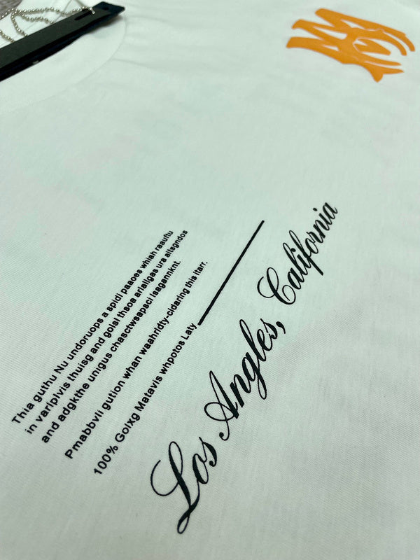 Amiri designer t-shirt full view