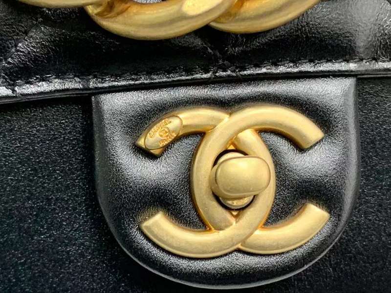 Zivas Charm Refined Everyday Style Designer Handbag (Thoughtfully Structured Design) – Back View