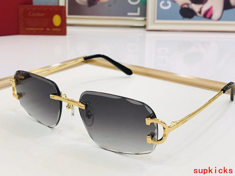Front view of Cartier unisex sunglasses
