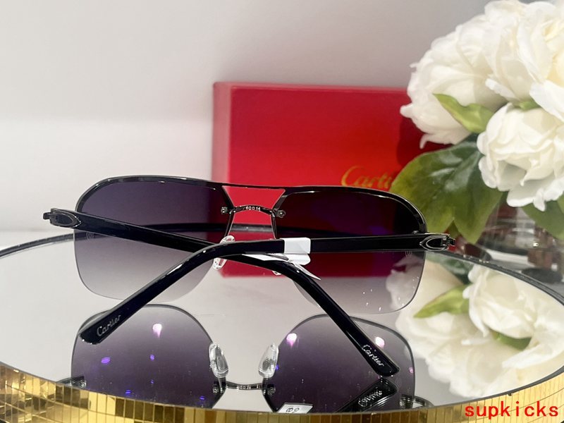 Close-up detail view of Cartier unisex sunglasses