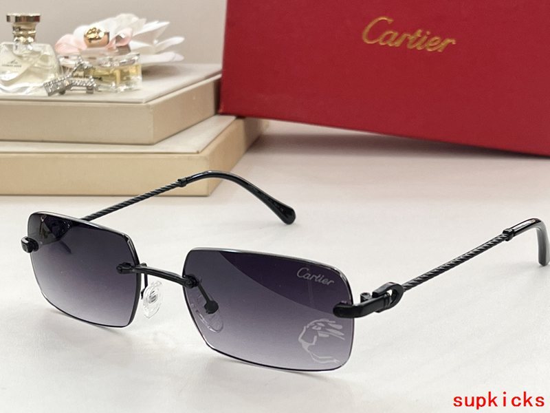 Lifestyle view of Cartier unisex sunglasses