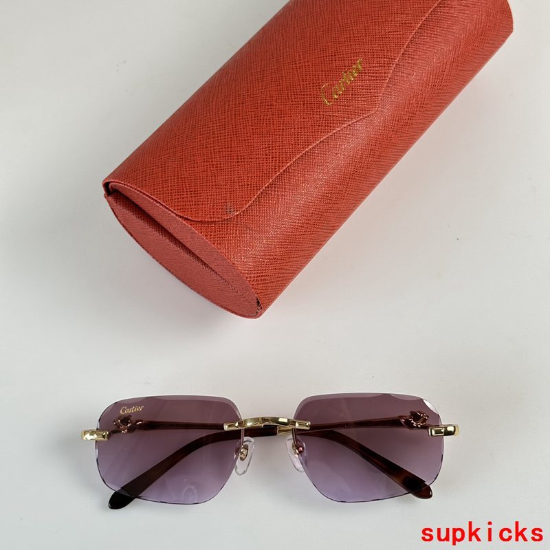 Close-up detail view of Cartier unisex sunglasses