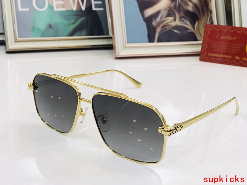 Full view of Cartier unisex sunglasses