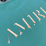 Amiri t-shirt full view — premium authentic designer style