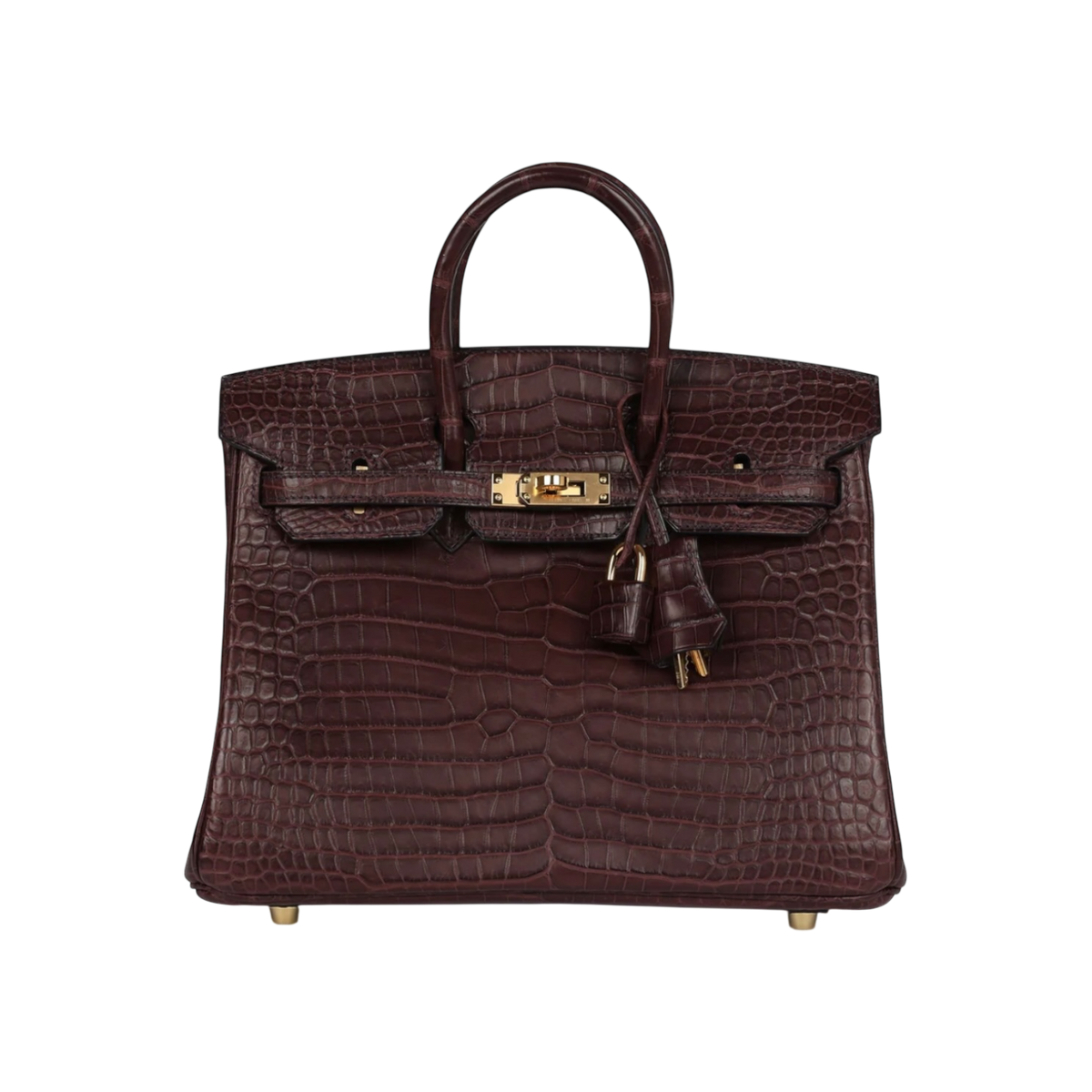 HermÃ¨s Birkin 25 Sellier Matte Porosus Crocodile Gold Hardware