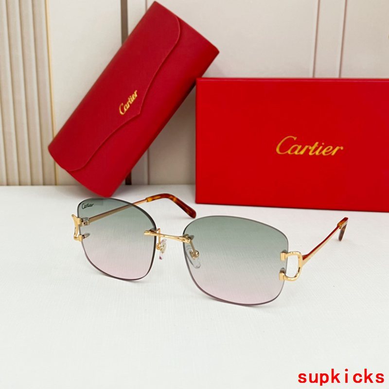 Close-up detail view of Cartier unisex sunglasses