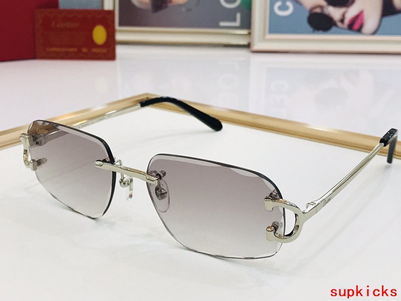 Close-up detail view of Cartier unisex sunglasses