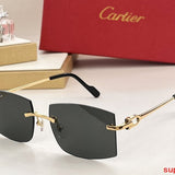 Front view of Cartier unisex sunglasses