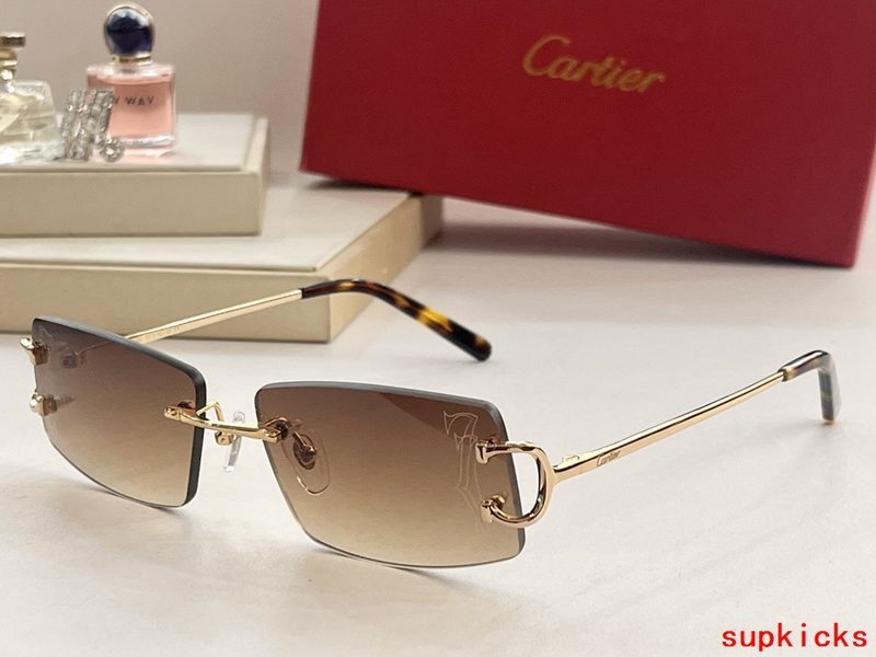 Side view of Cartier unisex sunglasses