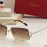 Side view of Cartier unisex sunglasses