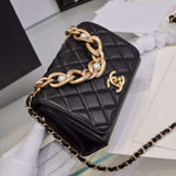 Zivas Charm Polished Finish Fashion Handbag (Designer-Inspired Craftsmanship) – Detail View