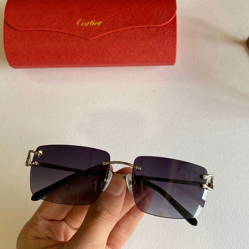 Side view of Cartier unisex sunglasses