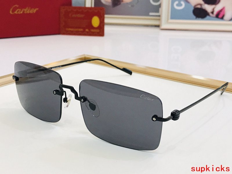 Side view of Cartier unisex sunglasses