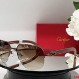 Close-up detail view of Cartier unisex sunglasses