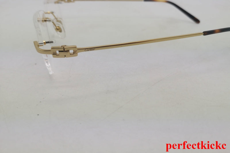 Close-up detail view of Cartier unisex sunglasses