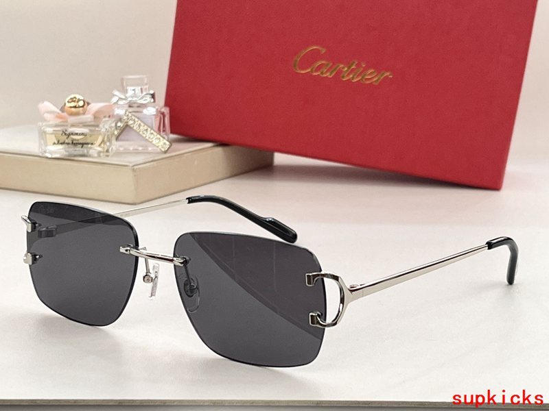Full view of Cartier unisex sunglasses
