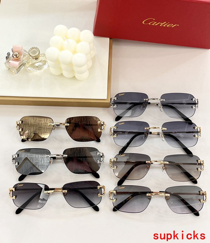 Lifestyle view of Cartier unisex sunglasses