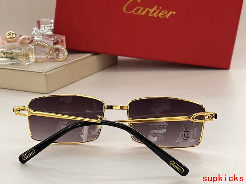Close-up detail view of Cartier unisex sunglasses