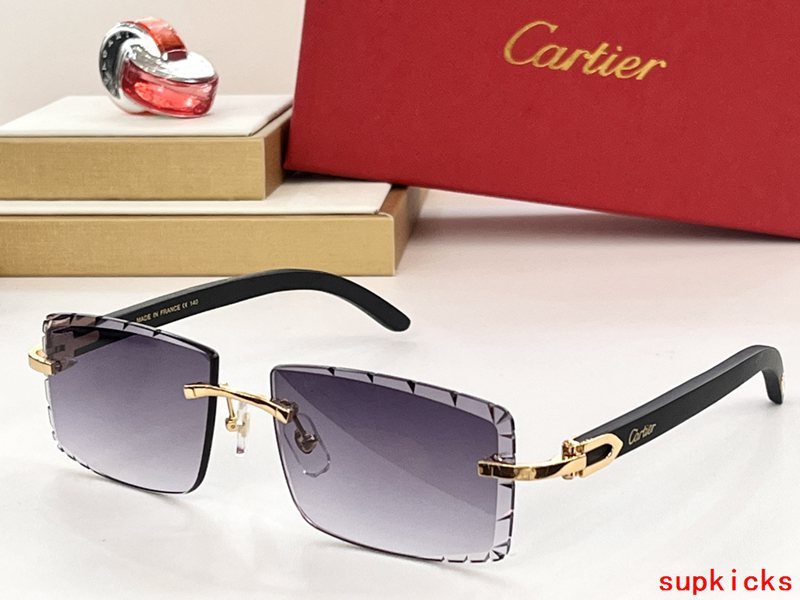Front view of Cartier unisex sunglasses