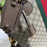 Side profile of premium elevated women's handbag – women's statement bag