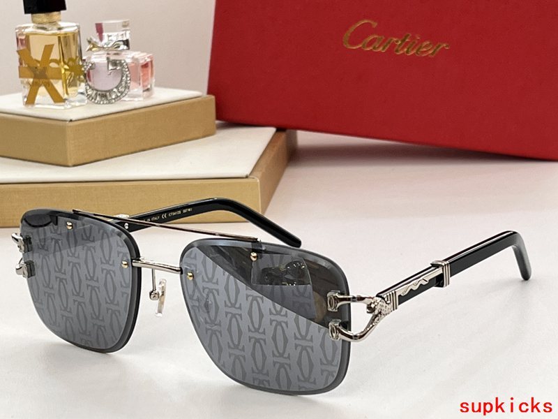 Side view of Cartier unisex sunglasses