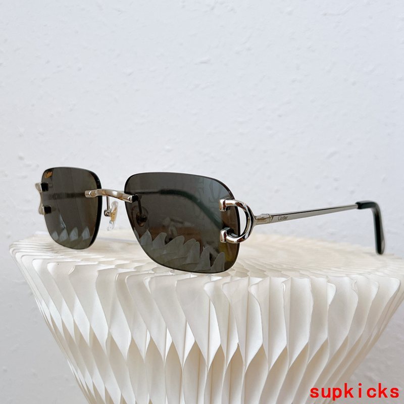 Close-up detail view of Cartier unisex sunglasses