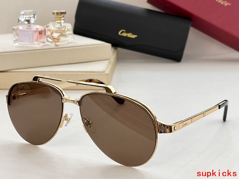 Front view of Cartier unisex sunglasses
