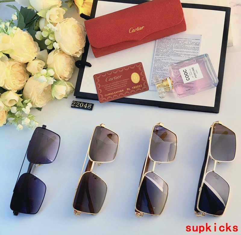 Front view of Cartier unisex sunglasses