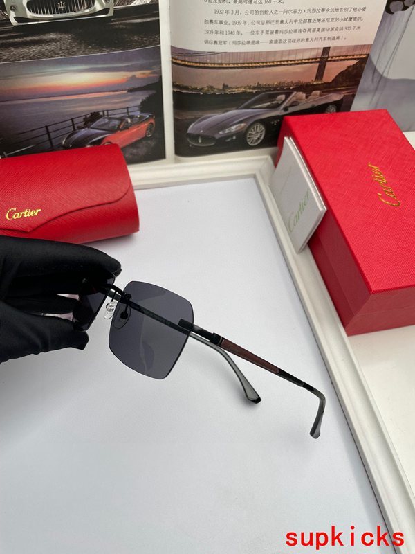 Side view of Cartier unisex sunglasses