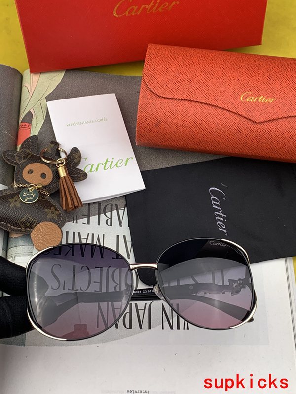Full view of Cartier unisex sunglasses