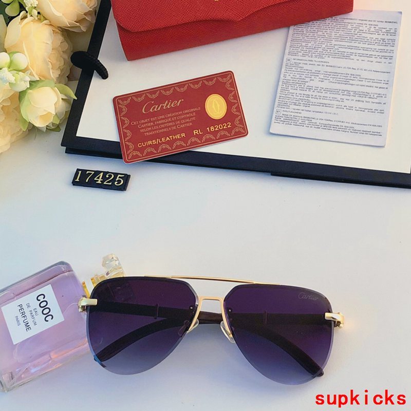 Close-up detail view of Cartier unisex sunglasses