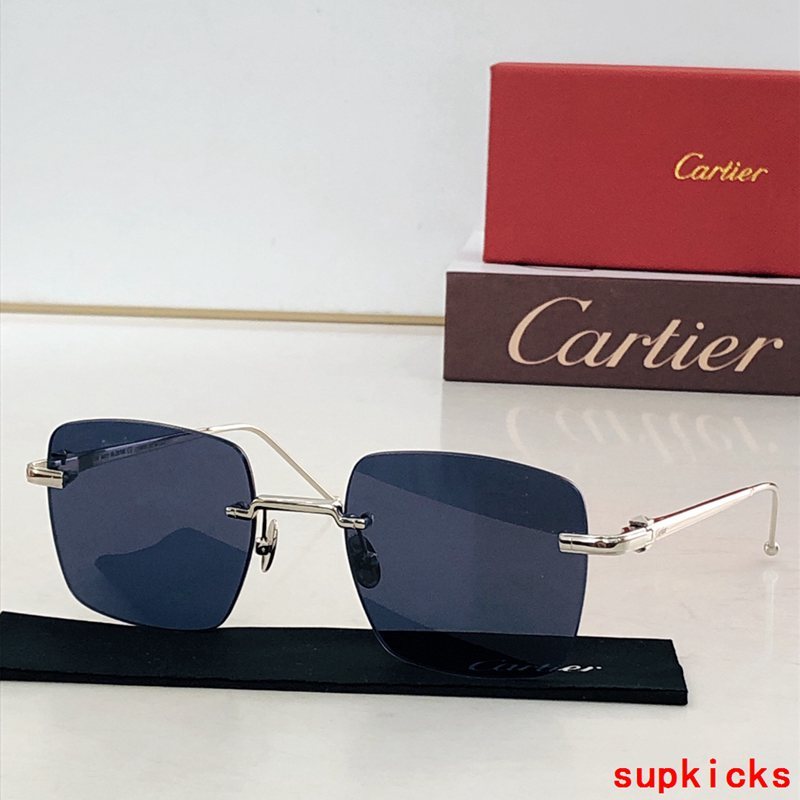 Front view of Cartier unisex sunglasses