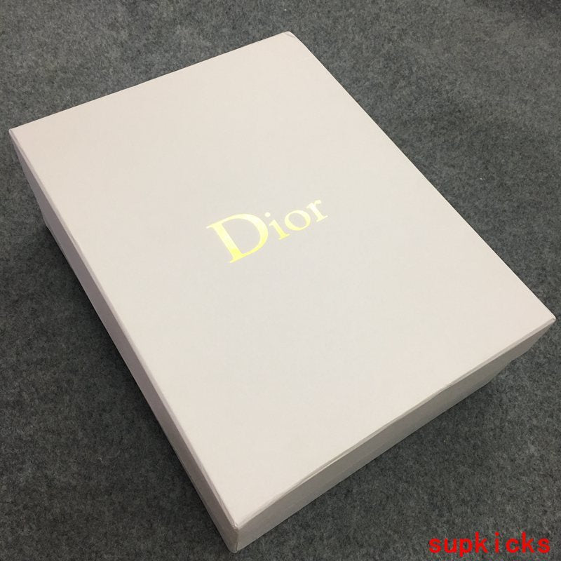 Dior shoes Style 029 - logo and branding close-up (alternate angle)