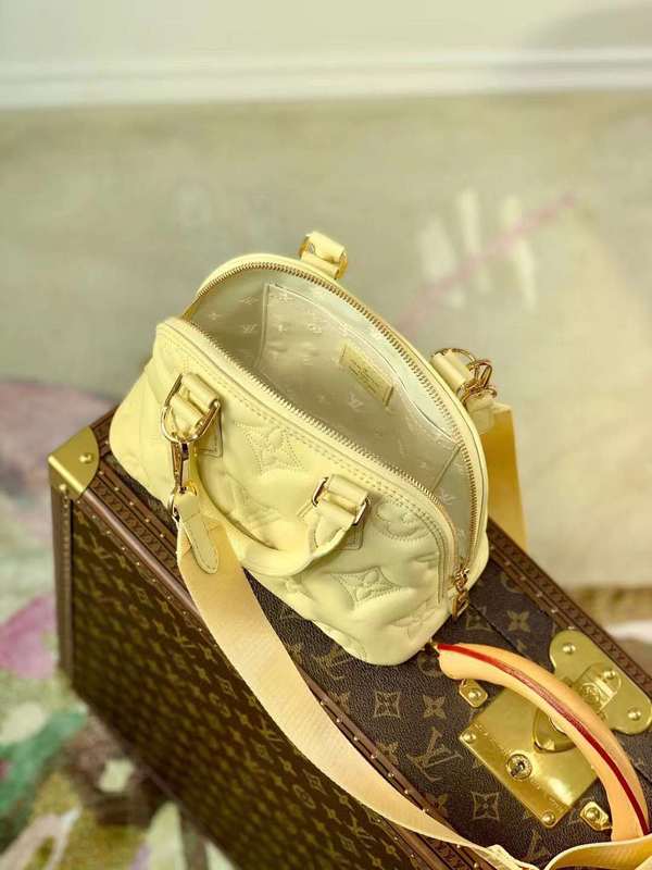 Interior view of modern sleek women's handbag – women's everyday handbag
