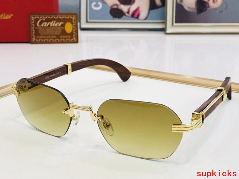 Close-up detail view of Cartier unisex sunglasses