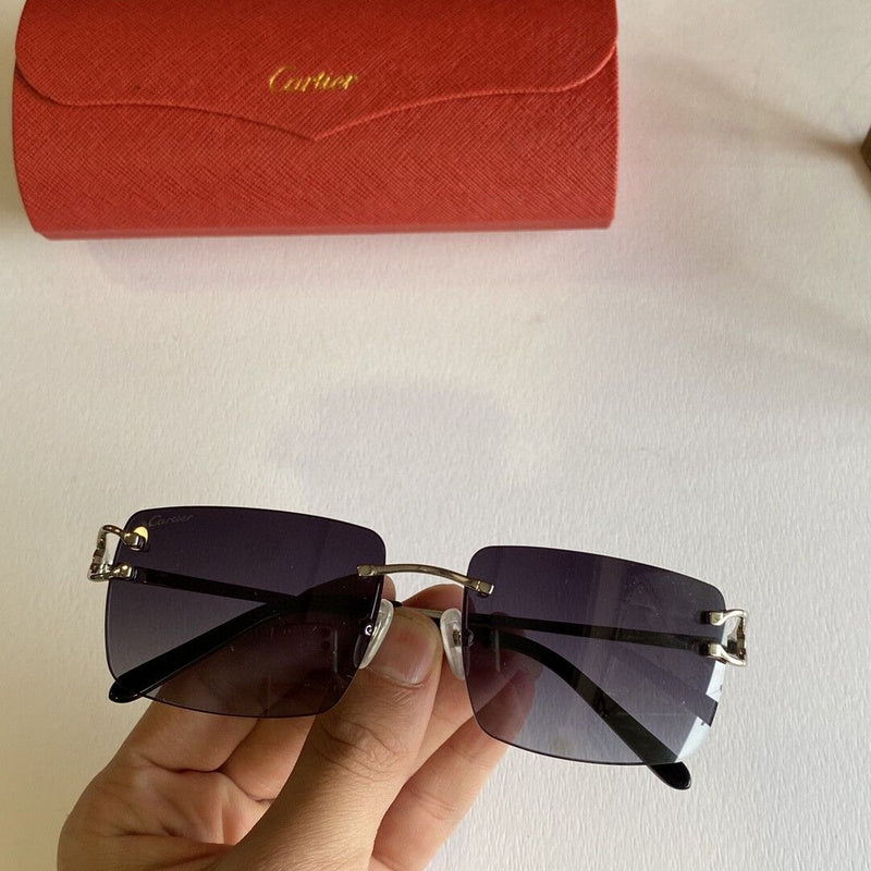 Full view of Cartier unisex sunglasses