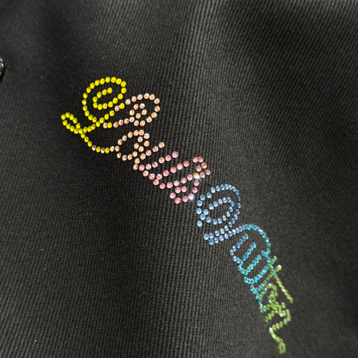 Louis Vuitton Jackets? Louis Vuitton Lou Jacket Premium Casual Designer Jacket