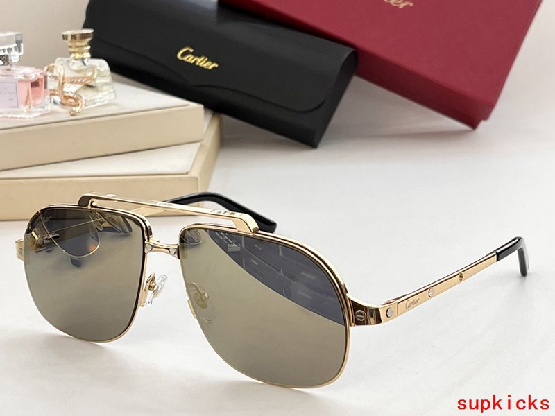 Full view of Cartier unisex sunglasses