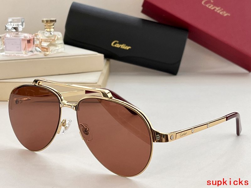 Side view of Cartier unisex sunglasses