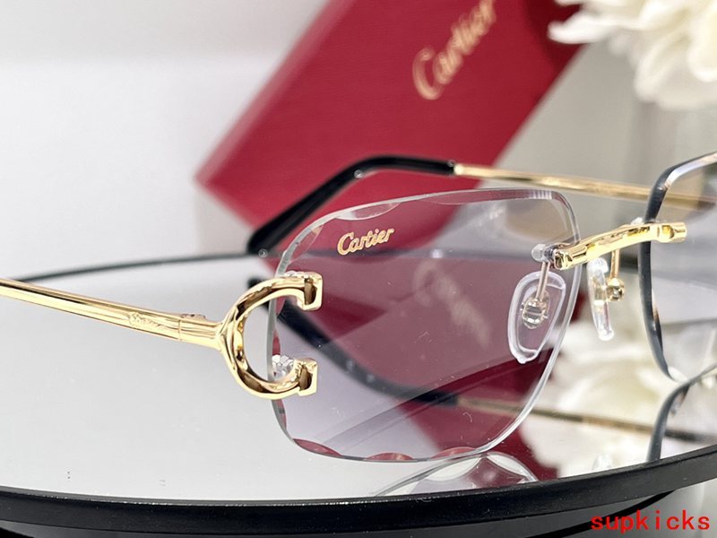 Full view of Cartier unisex sunglasses