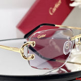 Full view of Cartier unisex sunglasses