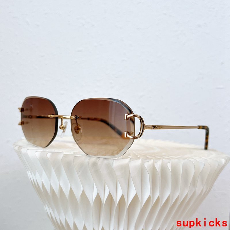 Side view of Cartier unisex sunglasses