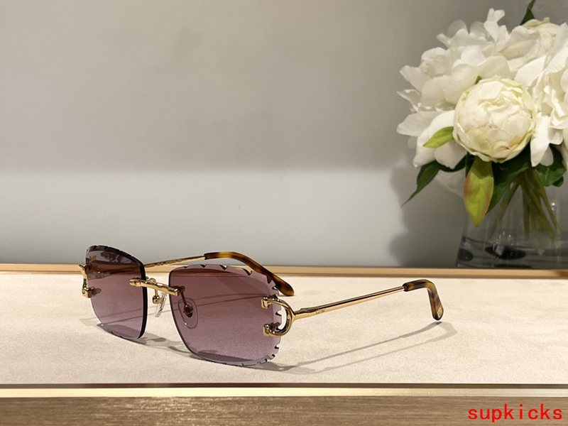 Close-up detail view of Cartier unisex sunglasses